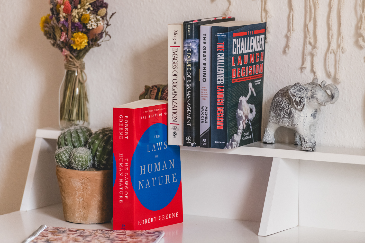 Books on risk and organisation